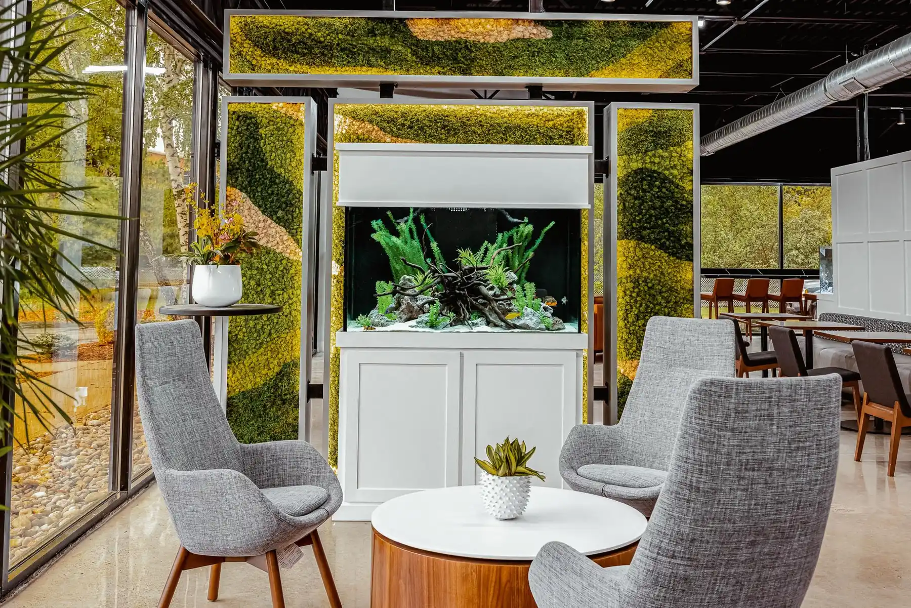 A freshwater aquarium set into a white cabinet between two living moss walls, with grey lounge chairs in front of it.